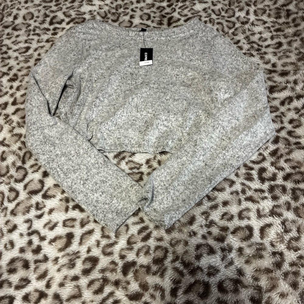 Express Heather Gray Cropped Longsleeve